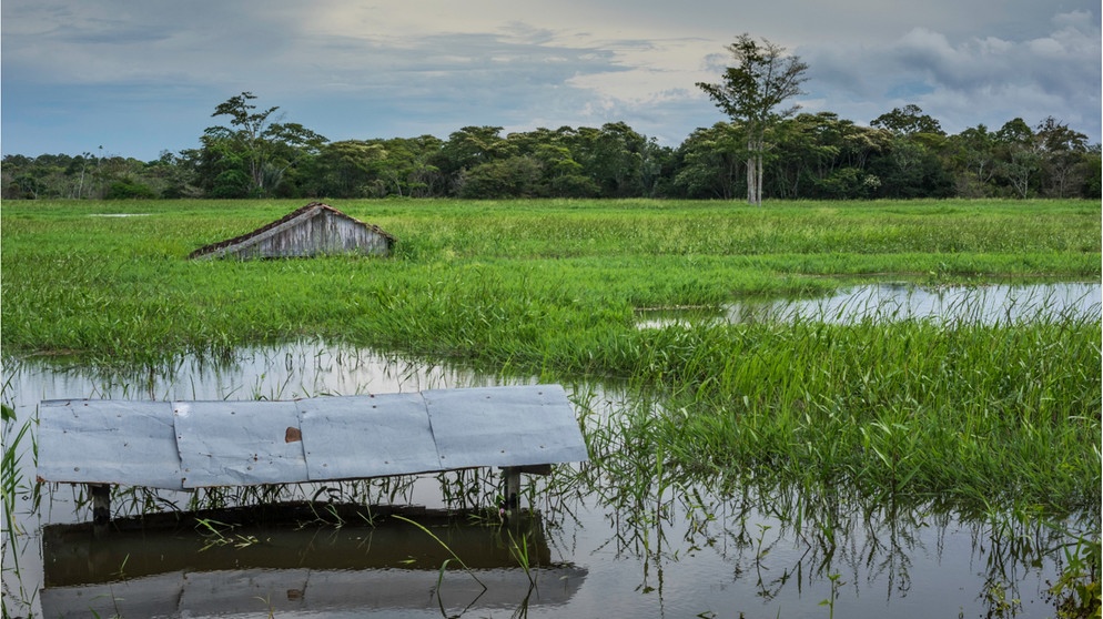 Überschwemmte Felder und Hütten am Solimoes Fluss - Amazonas. El Niño und La Niña bringen das Wetter entlang des tropischen Pazifiks durcheinander. Weil sich Luft- und Meeresströmungen ändern, kommt es weltweit zu Extremwetterlagen.  | Bild: Getty Images/Wochit