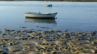 Strand bei Ebbe mit Boot | Bild: colourbox.com